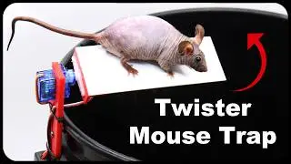 The Twister Mouse Trap - A totally new way of catching mice - Invented by a YouTube viewer.