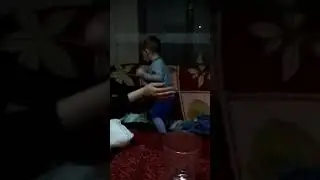 Vuk obrenic