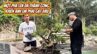 Một Pha Lên Đá Thành Công Khiến Anh Em Phải Gật Đầu #bonsai #bonsaitree #caycanh #caycanhbonsai 