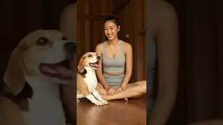 Adorable Beagle Plays High-Five with Owner on Wooden Floor