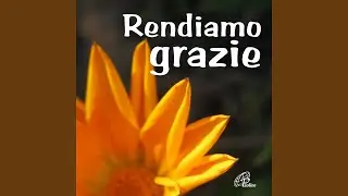 Un comandamento nuovo