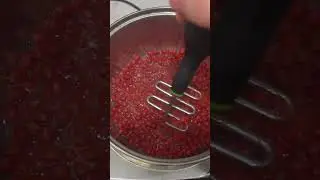 This Wild Berry makes a Natural Fruit Roll Up!