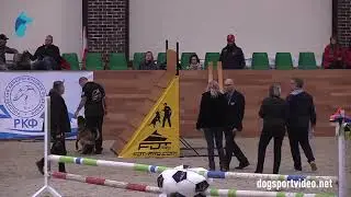 Category 2 - Sotiris Kountouras + N'Khaleesi de Sol Casa / BSD&nbsp;(Malinois) - Greece