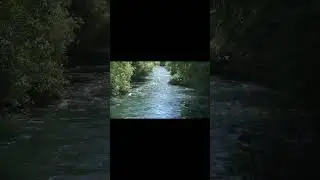 Peaceful River Flow 🌊 Relaxing Music for Calm & Stress Relief