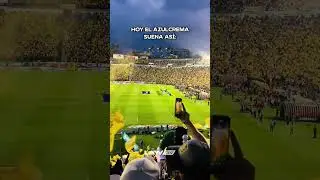 El Cl&aacute;sico se pinta azulcrema 💛💙 #layvtime #ligamx #clasiconacional #clubamerica