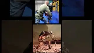 CONAN Choreography For Animation-