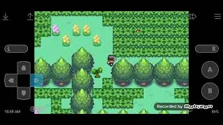 How Many evolutions?? (Pt 3 of last fire red)