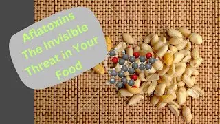 Aflatoxins: The Invisible Threat in Your Food