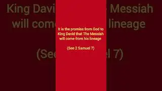 What is the Davidic covenant? #kingdavid #christianity #religion #bookofsamuel #themessiah #israel i