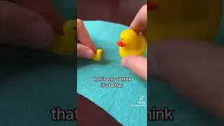 Doctor Waffle - Duck Relativity