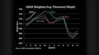 The Angus Report, May 11, 2015: CattleFax Market Update