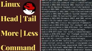 Head,Tail command Amazing Practical Examples in Linux | How to use less and more | Tutorial 2020