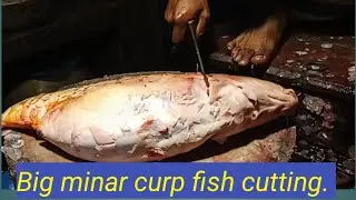 ৫ কেজি ওজন এর মিনার কার্প মাছ কাটিং // Huge Fish Cutting ASMR | Amazing Seafood Cutting Skills.