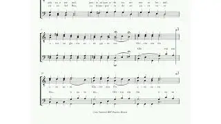 4. Himno de Gloria - Barítono