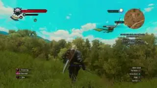 The Witcher 3 Wild Hunt forktail