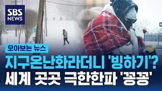 지구온난화라더니 '빙하기'?...세계 곳곳 극한한파 '꽁꽁' / SBS / 모아보는 뉴스