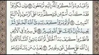 سورة العنكبوت الصفحة 398 الشيخ محمد صديق المنشاوي