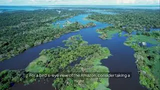 Amazon Rainforest Nature&rsquo;s Masterpiece, Hidden History, and Travel Guide
