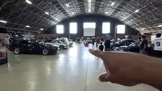 Driving Dog Pulls Into Car Show