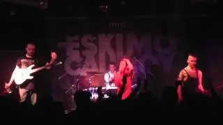 Beast War Returns - Last Show Ever