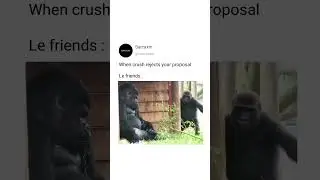 🤣🤣🤣 #shorts #shortvideo #meme
