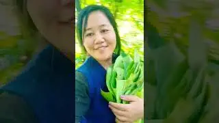 #gaulesclips #villagelife #nature #youtubeshorts #merikamewahang #vlogs #keepsupporting #foryou