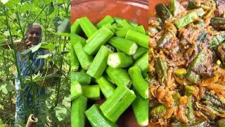 Farm-Fresh Okra Dish | Traditional Cooking with Grandma 