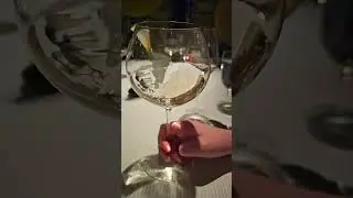 Slow Mo Wine Swirl