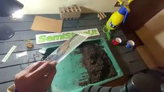 SemiStrani.it - Come usare il TAPPETINO RISCALDANTE per far GERMOGLIARE i SEMI di PEPERONCINO