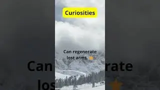 CURIOSITIES  #facts #curiosity #englishlanguage #curios #quotes #nature #english