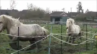 The two boys, full of zing this morning