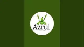 Live promo akhir tahun di harga100 dapet 4