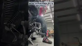 How to fix Harley&rsquo;s neutral find!