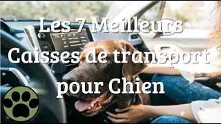 Les 7 Meilleures Caisses de Transport pour Chien - Guide