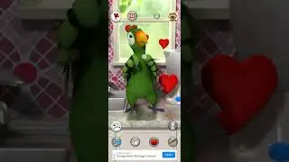 Talking Pierre The Parrot Funny Video Official Game Studio YouTube Short Video