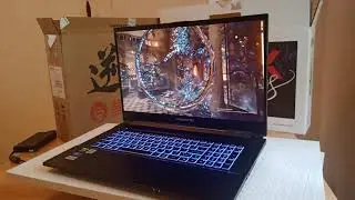 Clevo NH77DPQ Мощный игровой ноутбук в строгом матовом корпусе