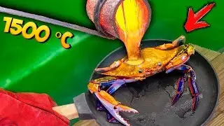 EXPERIMENT: WHAT IF to COOK in real LAVA - CRAB ..?!