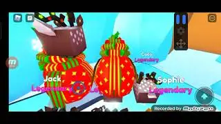Hatching Eggs In Pet Simulator X Will I Get Hfc (Late Post)