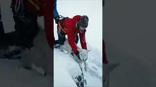 Cliff Rescue: Baby Goat&rsquo;s Miracle 🐐🌄 #wildliferescue #natureshorts #kindness