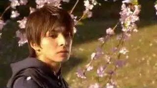 A little honey&clover