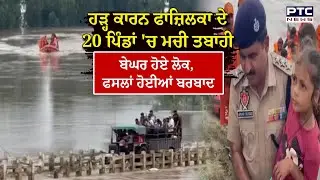 Fazilka ਦੇ 20 ਪਿੰਡਾਂ ਵਿੱਚ ਹੜ੍ਹ ਕਾਰਨ ਮਾੜੇ ਹਾਲਾਤ , NDRF ਦੀ ਟੀਮਾਂ ਨੇ ਹੜ੍ਹ ਪੀੜਤਾਂ ਨੂੰ ਕੀਤਾ Rescue