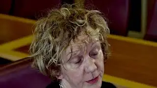 Criminal Courts, Fair Procedure & Prisons short talk by Dr Jenni Ward