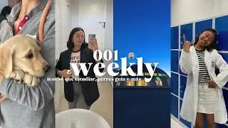 weekly 001 💐 mucho que estudiar, perros guía y mas