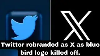 Twitter rebranded as X as blue bird logo killed off. #asia #elonmusk #twitter #breakingnews #news