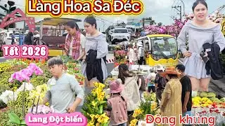 Đường Hoa Sa Đéc gây sốt Lan đột biến bất ngờ khoe sắc ven đường khiến ai cũng tò mò Tết 2026