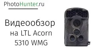 Акорн 5310 WMG