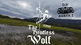 DJI AVATA 2 FPV - Farmland Tour.