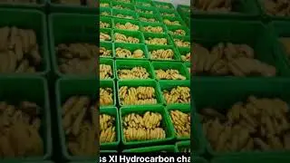 Ripening of fruits by Carbide in home & by acetylene gas in industry