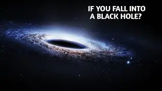 What Happens If You Fall Into a Black Hole? 