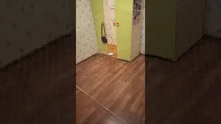 VID 20200406 193739